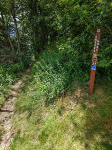 Snooks Nose Trail at the Blue Ridge Parkway