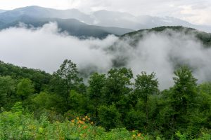 View of the Black Mountains From Big Laurel Gap Overlook