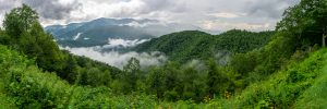 View From Big Laurel Gap Overlook