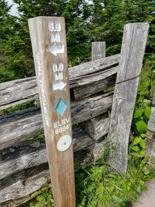 Mount Mitchell-MST Signpost