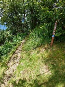 Snooks Nose Trail at the Blue Ridge Parkway