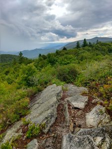 Big Firescald Knob Summit View