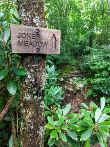 Sign for Jones Meadow