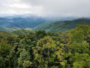 View Southwest from the Cowee Bald Fire Tower