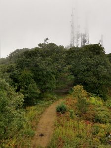 View of Communications Towers from Cowee Bald