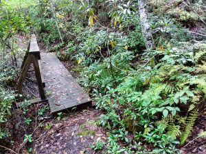 Bridge on the Walton Interpretive Trail