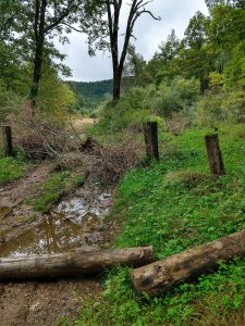 Mudhole at the Walton Interpretive Trail Parking