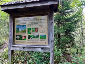 Spruce Bog Sign on the Walton Interpretive Trail