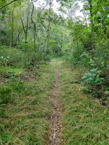 Start of the Walton Interpretive Trail