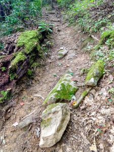 Steep Section of Elk Pen Trail