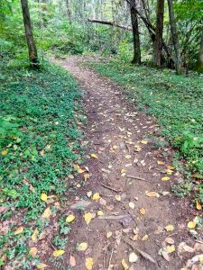 Elk Pen Trail Through Periwinkle