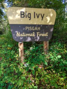 Big Ivy Entrance Sign