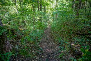 Steep Section of Little Andy Trail