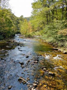 View of the South Toe River from the Black Mountain Campground Bridge