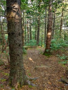 Buncombe Horse Range Trail