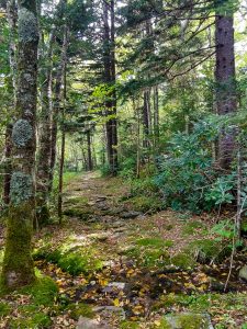 The Buncombe Horse Range Trail on the Old Railroad Grade