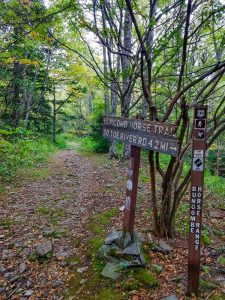 Buncombe Horse Range and Mountains to Sea Trail Signs