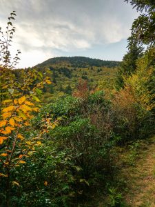 View of Potato Knob From Buncombe Horse Range Trail