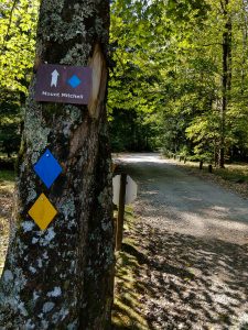 Mt. Mitchell Trail Sign