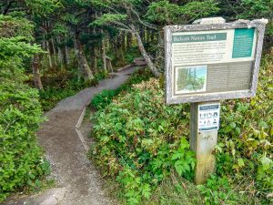 Sign for the Balsam Nature Trail