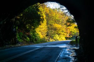 Looking Out of Twin Tunnels in Autumn