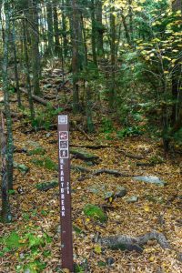 Heartbreak Ridge Trail Junction