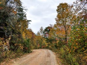 Curtis Creek Road in Fall Color