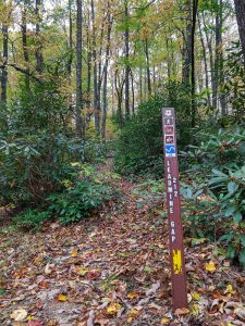 Lead Mine Gap Trail Sign