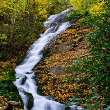 Waterfall Keepers of North Carolina Nonprofit Group Takes Shape