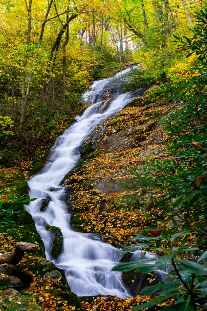 Middle Portion of the Waterfall on Curtis Creek