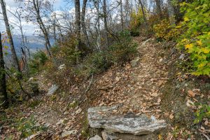 Approaching the Summit of Bald Knob