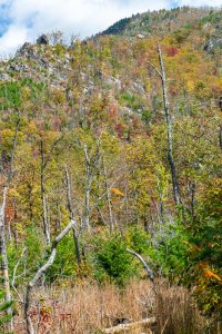 View Up to Bald Knob