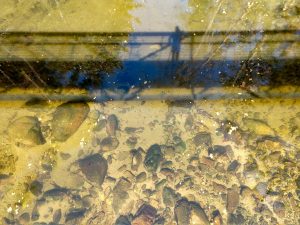 Shadow of the Bridge