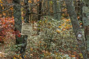 Re-Routed Mountains to Sea Trail