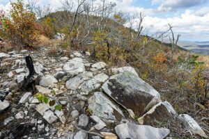 Trail Near the Summit of Bald Knob