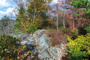 Autumn on the Summit of Bald Knob