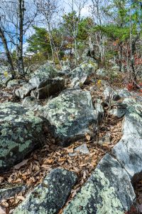 Rock Jumble on Bald Knob