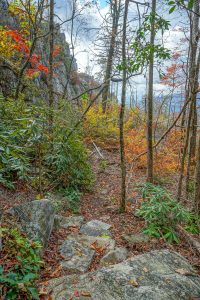 Trail Below Cliffs on Bald Knob