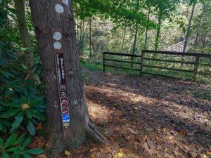 Sign for the Mountains to Sea Trail at the North Fork Catawba River Bridge