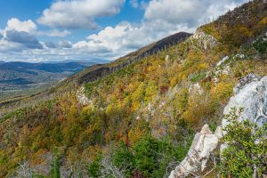 Bald Knob Ascent View Fall Color