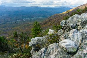 Northwest View from Bald Knob