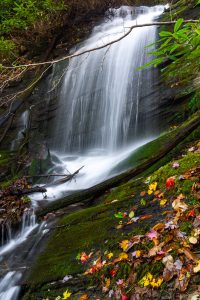 Bottom of the cascade on the right fork of Toms Creek