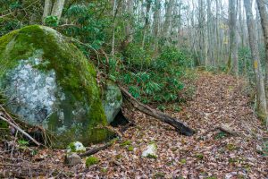 Boulder on the Betty Place Trail