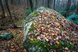 Fall Leaves on a Boulder