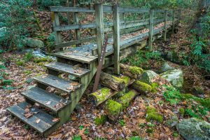 Main Bridge on the Betty Place Trail