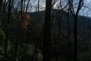 Ridge Looming Above Bluff Mountain Loop Trail