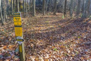 Bluff Mountain Loop Trail at National Forest Boundary