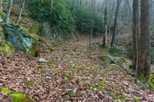 Rocky Stretch of the Bluff Mountain Loop Trail