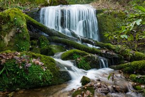 Small Cascade on the Bluff Mountain Loop Trail