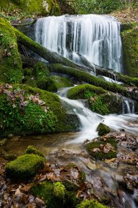 Small Cascade on the Bluff Mountain Loop Trail